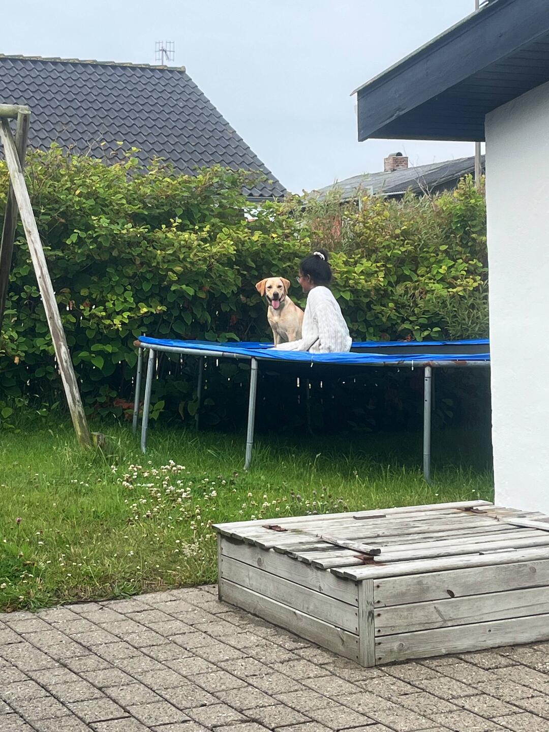 Chalkie geht es besser