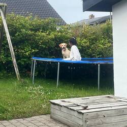 Chalkie geht es besser