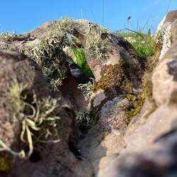 Mini pont formé par la roche🥹