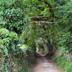 Look for the openings!