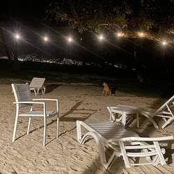 ...auch abends kommt er immer wieder gucken...