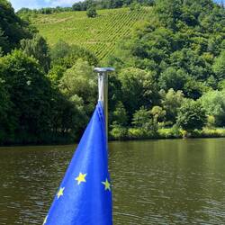 Reben kurz vor Saarburg - und zwischendurch mal Sonne!