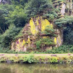 Schwefelflechte am Ufer der unteren Saar