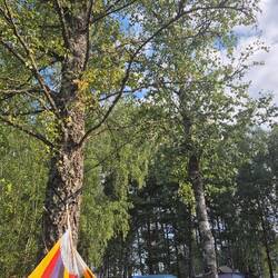 Chillen am Vormittag