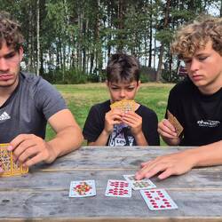 Levi Knack beigebracht