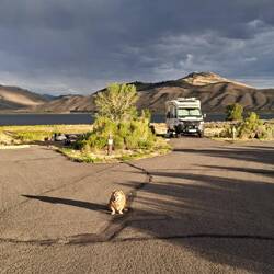 Stevens Creek Campground am Blue Mesa Reservoir