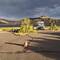 Stevens Creek Campground am Blue Mesa Reservoir