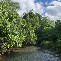 Ja, und was passiert hier???