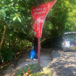 Erster Stopp am heiligen Berg Rotui/Belvedere de Opunohu