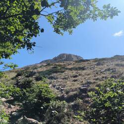 Letzter Schatten