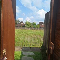 Reisfelder vor der Tür