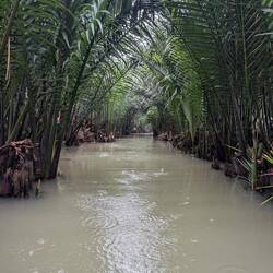 Coconut boat ride