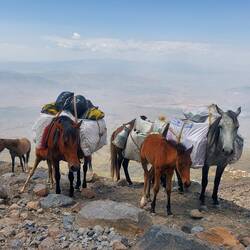 Es geht auf 4050m Höhe zum Base Camp 2