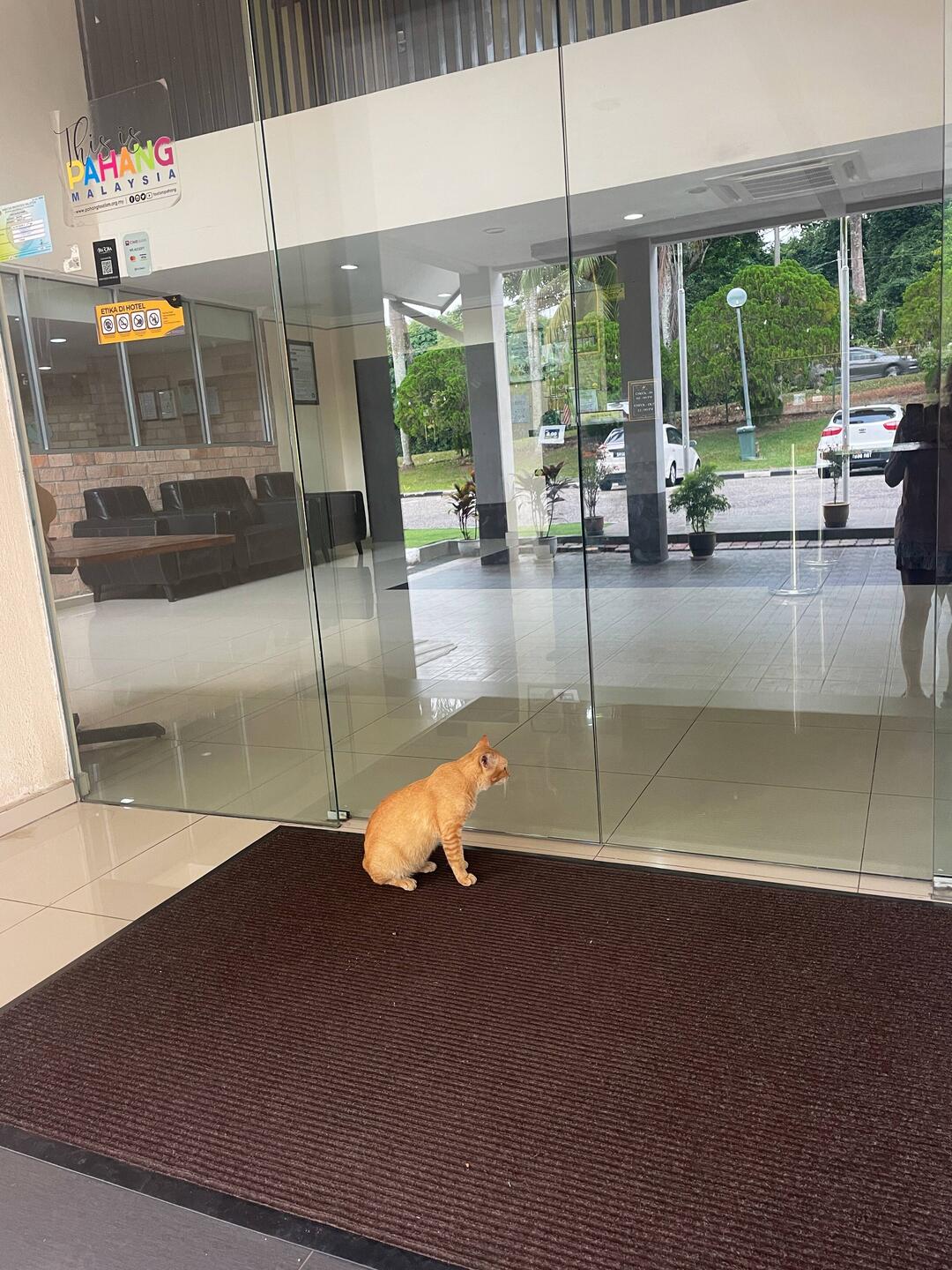 Waiting to check in