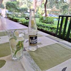 Ginless G&T