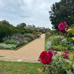 Another garden area at Walmer Castle