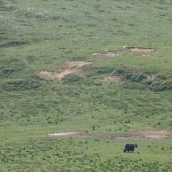 Ils ont de l'espace!