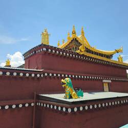 L'association rouge et or, fonctionne très bien comme le savent nos lensois 😘