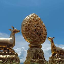 Antilope et roue du Dharma sont des symboles du Bouddhisme