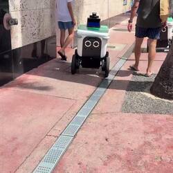 Delivery Robot 😍