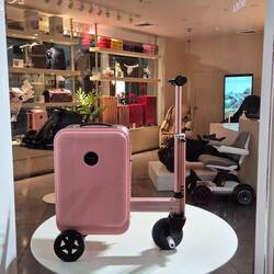 Dieses elegante Teil kostet 1'250.- $