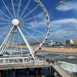 Rostiges Rießenrad und Möwe