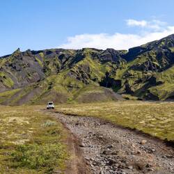 Manche laufen hoch, andere lassen sich fahren 😵‍💫
