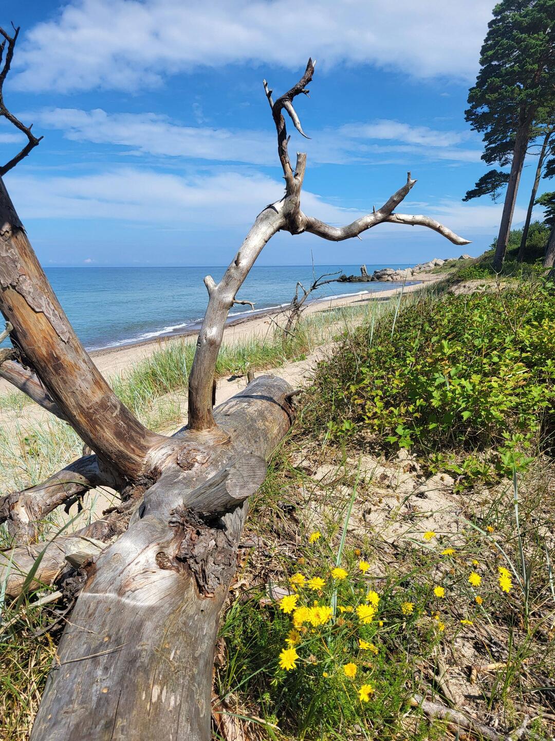 Die Küste nördlich von Liepāja.