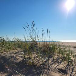 Ein Traumstrand für mich allein.