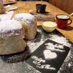 Buchteln - ein Augenschmaus!