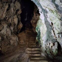 Die Erasmus - Treppe