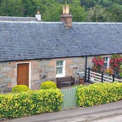 Lovely houses and gardens