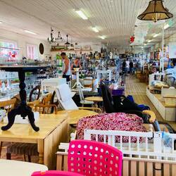 Da find ich einen Elch