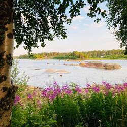 Die Schönheit hier ist unverwüstlich