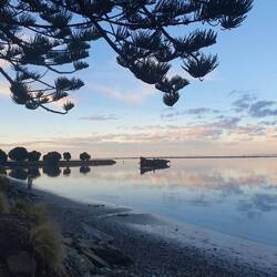 Beautiful view from Jacque and Andrew's drive in Motueka