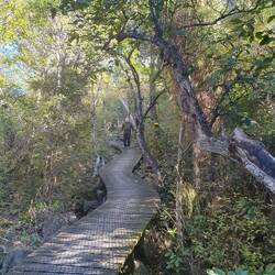 Track in to look out.