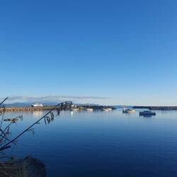 Perfect Port Tarakohe