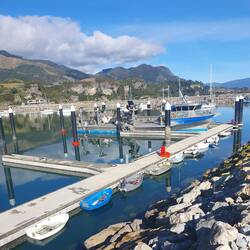 Port Tarakohe.... love the wee boats.