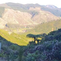 Looking down from the Takaka Hill road.