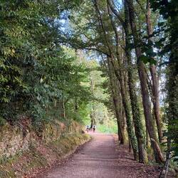 The early morning was more uphill than this looks.