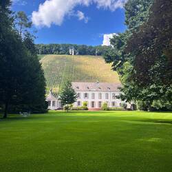 Weingut Von Othegraven, Gartenseite
