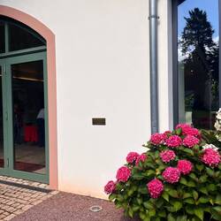 Saar Hochwasser Mai 2024 - Gartenhaus des Weingut Von Othegraven