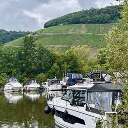 Blick auf die Weinberge: Sportboothafen WSC Saarburg