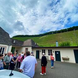 Unsere alten Damen vor der Weinorobe