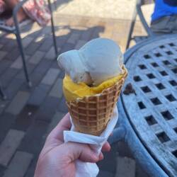 Vanille und Magosorbet