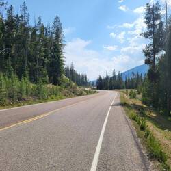 Und da waren sie endlich, die Bäume!