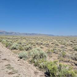 Danach folgte unsere Lieblingslandschaft: Wüsten-Buschland. Original natürlich nur mit Gegendwind!