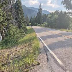 Ja, Isabell kann auch schnell! Auf Asphalt und leicht abwärts