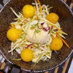 Mango/Papaya Salat
