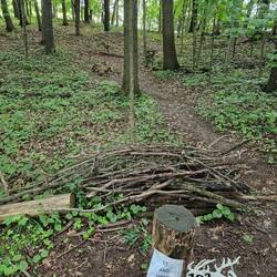 3D-Targets auf dem 1. Pfad